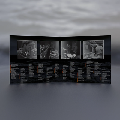 限定3000 オーディオスレイヴ Out of Exile 20周年Vinyl Audioslave - 