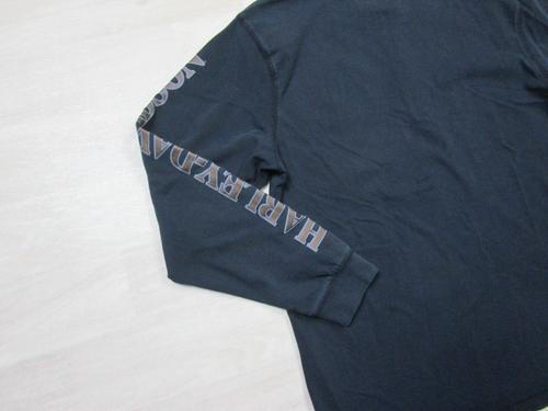 Camisa Harley Davidson Para Hombre (L) Negra 110 Aniversario Negra Manga Larga Henley - Imagen 7 de 10
