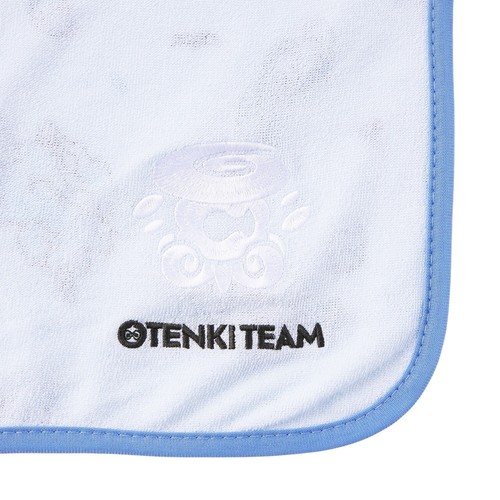 Pokemon Centro Genial Manta OTENKI TEAM Advertencia de Nieve Glaceon Alolan Vulpix - Imagen 5 de 5