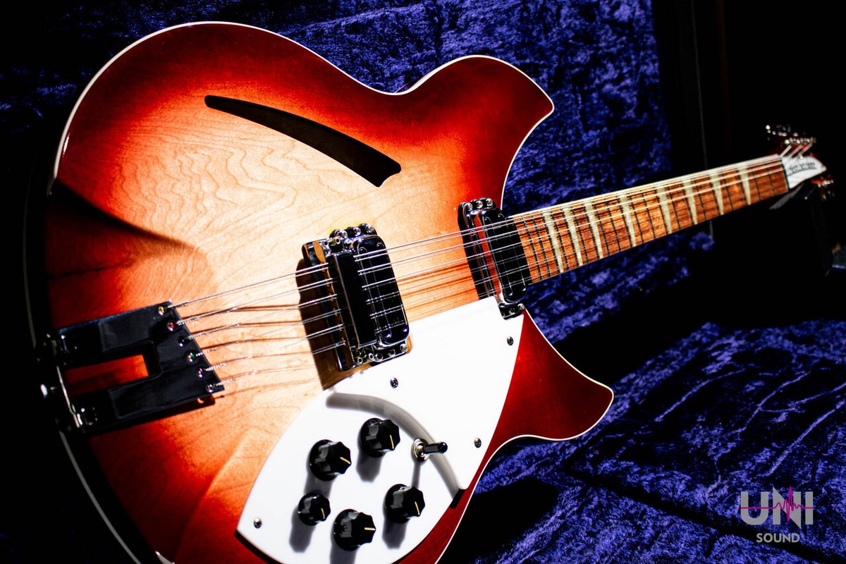 AriaproII Rickenbacker 360タイプ リッケンバッカー おまけ
