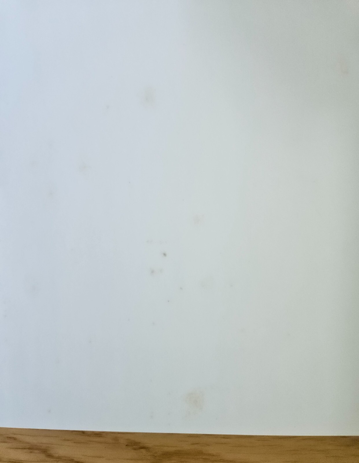 Foto 11 di 11