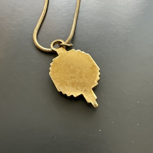 Vintage Bellingham Highschool Gold Filled Enameled Pendant with Necklace - Picture 3 of 4