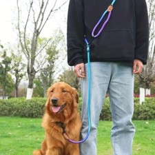 Hands Free Dog Leash, Dual Dog Leash, Adjustable Pet Leash, Multifunction Leash