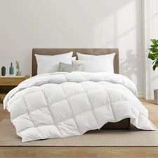 Medium Warmth All Season Paisley Floral & Solid Pattern