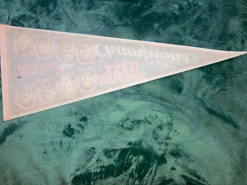 1998 DENVER BRONCOS SB XXXII CHAMPIONS 8 PLAYERS PENNANT.4 HOF.WINCRAFT. - Picture 4 of 4