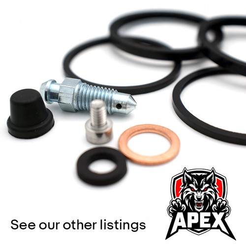 Kawasaki KDX200 E5 1993 rear brake caliper piston & seal repair service kit - Picture 3 of 6