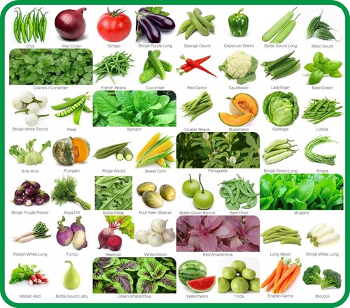 50 varietà di semi di verdura, frutta ed erbe per orto - 2500+ semi - Foto 4 di 6