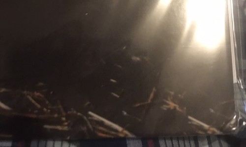 JOHN PRINE VINYL NEW! LIMITED ORANGE 180 LP! SAM STONE, PARADISE, HELLO IN THERE - Picture 2 of 10