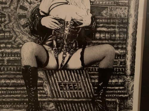 Savannah Adult Film Star Shannon Wilsey "STEEL" SIGNED #73/100 Collin Christian - Bild 6 von 12