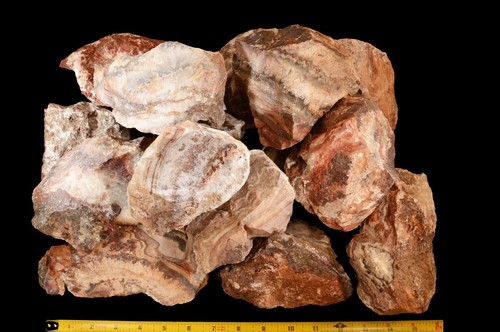 Chakra Crazy Lace Ágata 4" 14-20 OZ Lapidaria Cruda Piedra Natural Áspera Tercer Ojo - Imagen 2 de 3