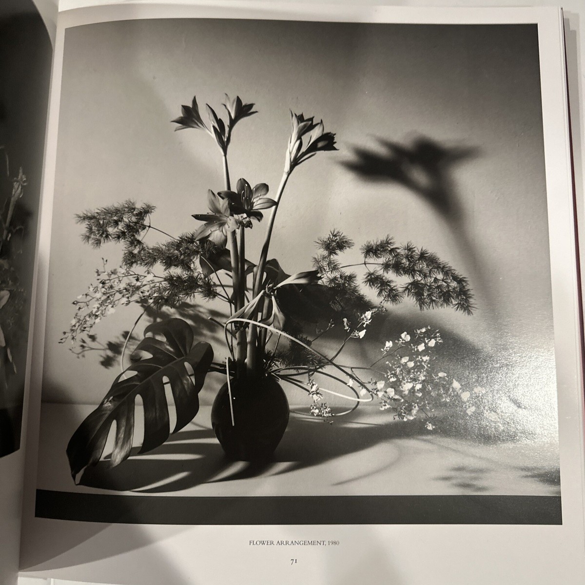 Pistils by Robert Mapplethorpe (1996, Hardcover) (First