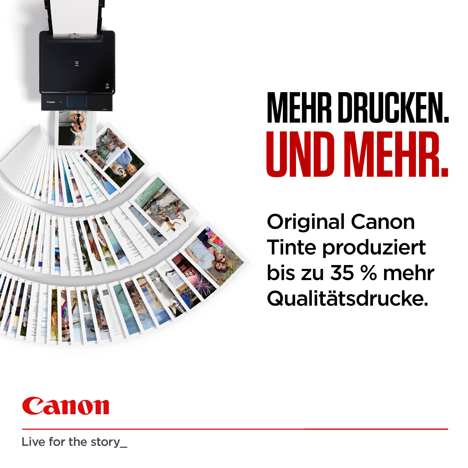 Bild 6 von 8