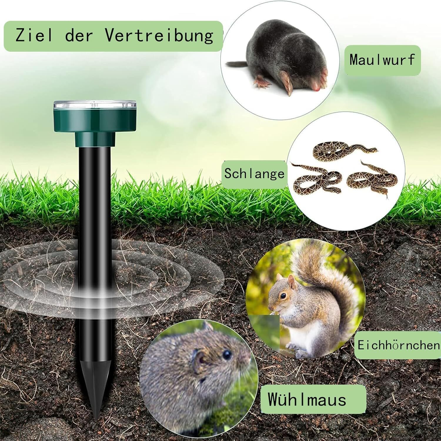 Bild 2 von 10