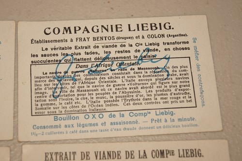 LIEBIG 6 CARD SET Eastern Africa French Victorian ANTIQUE VINTAGE 1800s 1880s - Picture 10 of 14