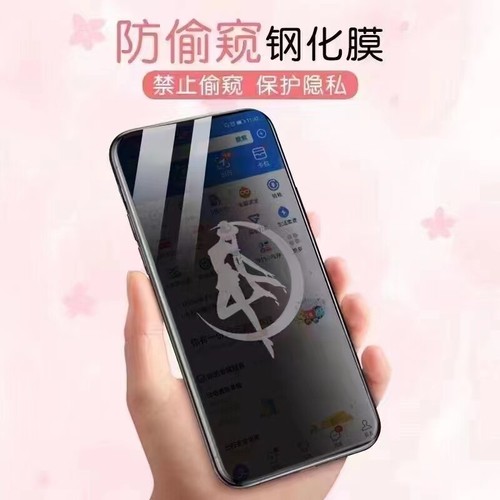 Cartoon Anti-Peep Privacy Tempered Glass Screen Protector for iPhone 11 13 14 15 - Picture 9 of 21