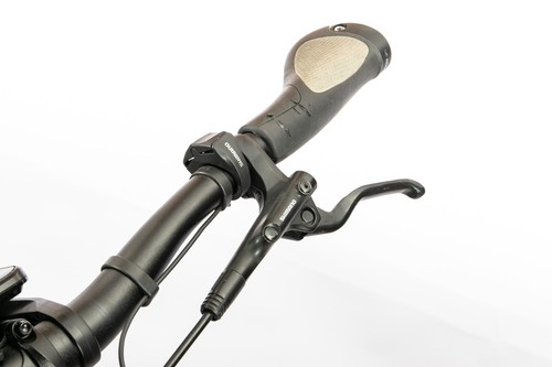 Pegasus Opero Evo 10 Shimano E8000 750Wh 58cm Trekking E-Bike Pedelec Schwarz - Bild 11 von 24