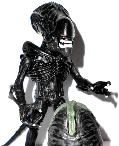 ALIENS Loyal Subjects XENOMORPH 2009 black vs predator complete action vinyls - Bild 1 von 2