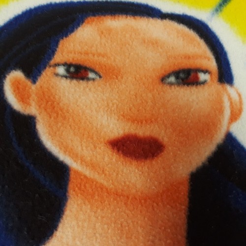 Disney Princess Fleece Blanket Throw 70x80 Cinderella Aurora Snow White Mulan - Bild 11 von 21