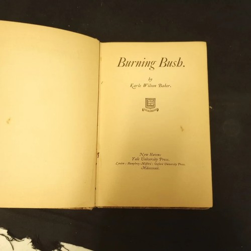 Rare Antique Old Book 1922 Burning Bush by Karle Wilson Baker - Picture 3 of 5