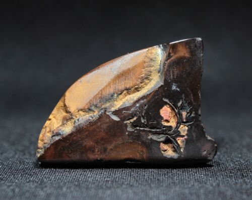 17.2 ct Colorful Koroit Boulder Opal - Freeform Cabochon from Australia - Picture 4 of 7