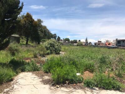 TERRENO EN VENTA EN TLALMANALCO EDO DE MÉXICO