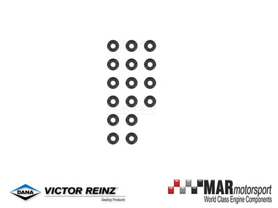 VW Audi 2.0 | TSI | TFSI | EA888 Gen 3 | REINZ Valve Stem Seal Set