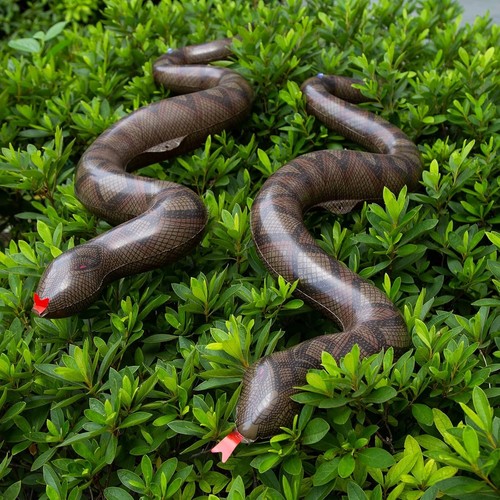 Serpenti Finti Gonfiabili, 3PCS Galleggianti Serpenti Piscina Animali per Rettili Giungla - Foto 5 di 9