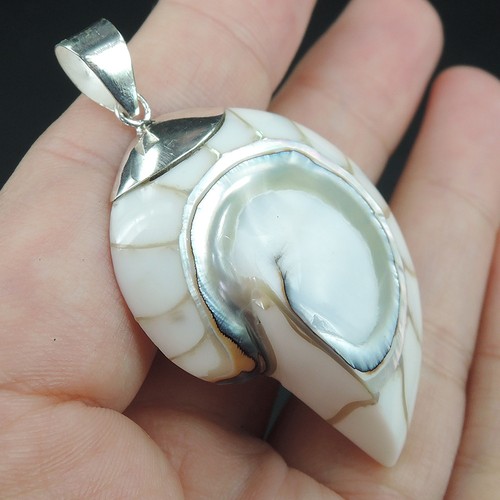 Colgante de plata de ley 925 blanco tamaño mediano concha y resina Nautilus, NSP-669 - Imagen 1 de 7