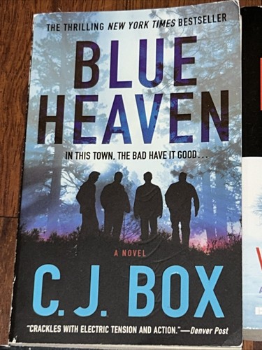 Lot of 8 C.J. Box Mystery/Thriller Novels – Joe Pickett Series + Standalone – PB - Picture 3 of 10