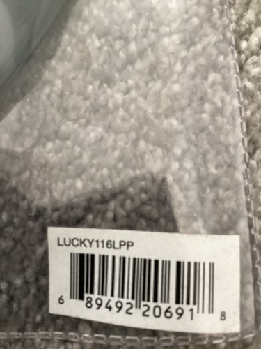 HINDS I Don’t Run Picture Disc Vinyl LP in Clear Sleeve  LUCKY116LPP BRAND NEW - Picture 4 of 4