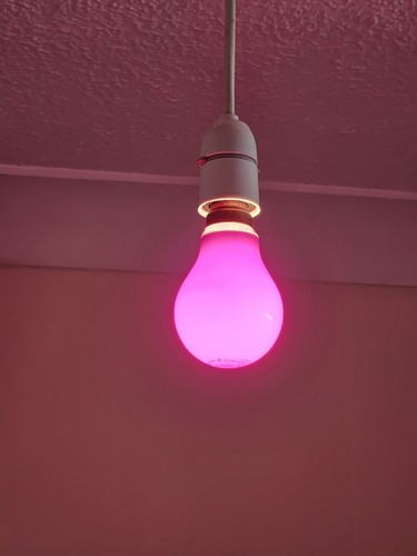 Vintage Philips 60W 240v Red Lightbulb, Made in Gt. Britain - VGC & GWO! - Picture 11 of 11
