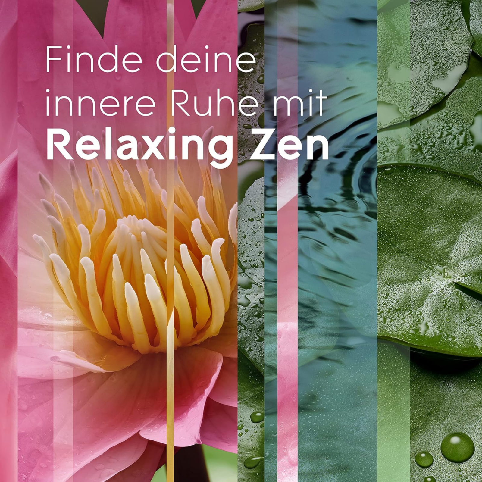 Bild 3 von 6