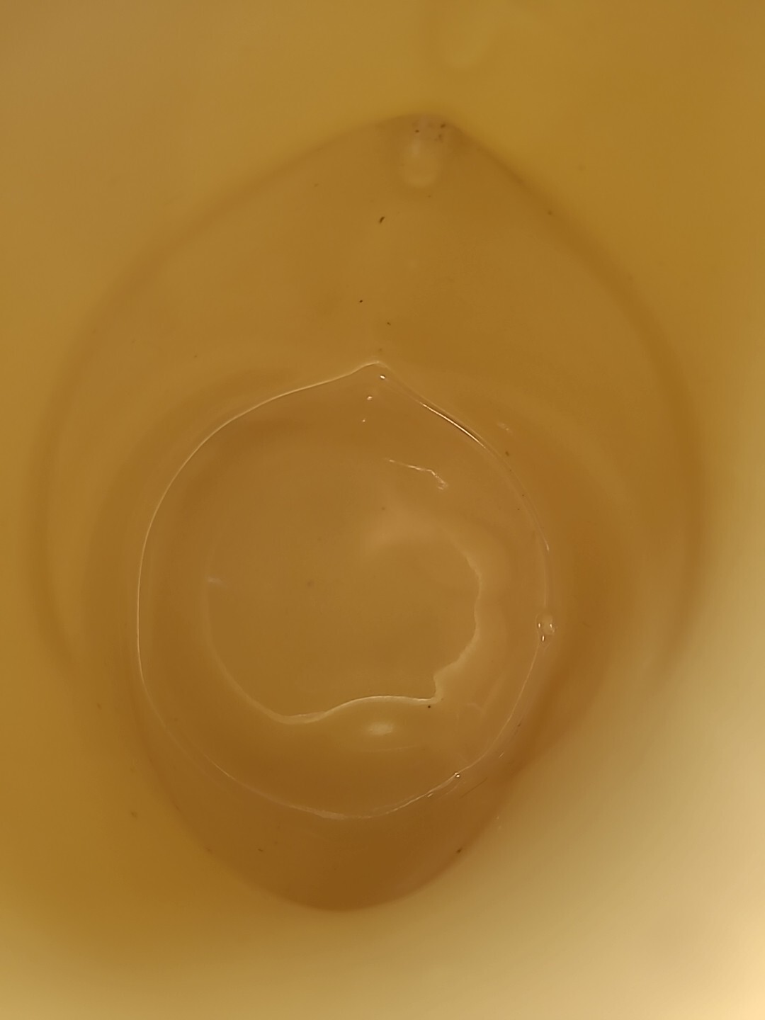 Picture 12 of 14