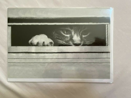 Notecards, blank, 10 cute ANIMAL B&W photographic designs with envelopes - Picture 10 of 11