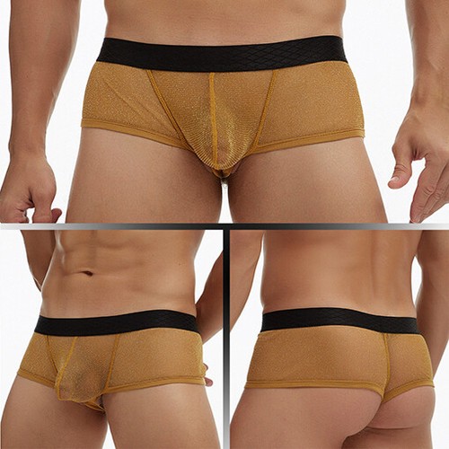 Sexy Men Briefs Mesh See-through Pouch Boxer Bikini Underwear Soft Breathable✔ - Picture 11 of 22