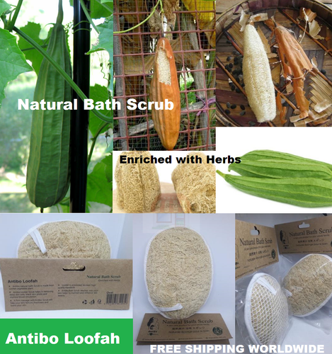 Natürlicher Sri Lanka Luffa Badeschwamm Körperpeeling Bio Luffa Hautpflege - Bild 1 von 10