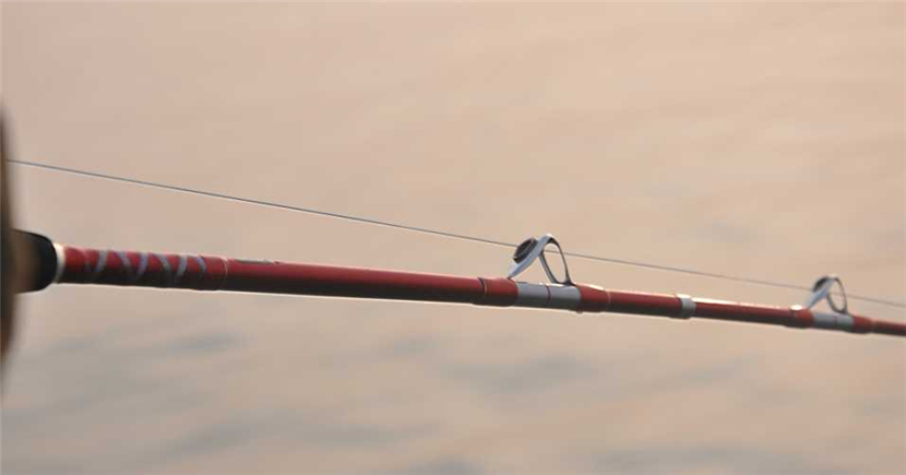 Bild 11 von 12