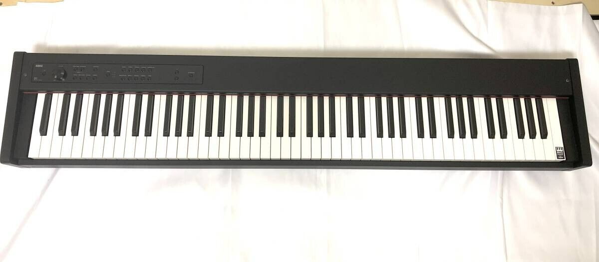 D1 - DIGITAL PIANO | KORG (Japan)
