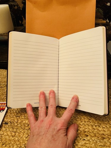 New LOUIS VUITTON Clemence Xmas 2021 Vivienne HOLLYWOOD NOTEBOOK Writing Book - Picture 9 of 11