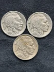 1936 1937 P, 1938 D Buffalo Nickels 3 Coin Set