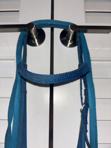 Blue Nylon Western Horse Bridle W/ New Curb Bit Chain & Split Reins - Picture 5 of 5