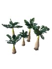 Set of 5 Piece Bell Palm Tree 5" Collection 8"H 1.5"W 1.5"L Resin Fontanini 2006