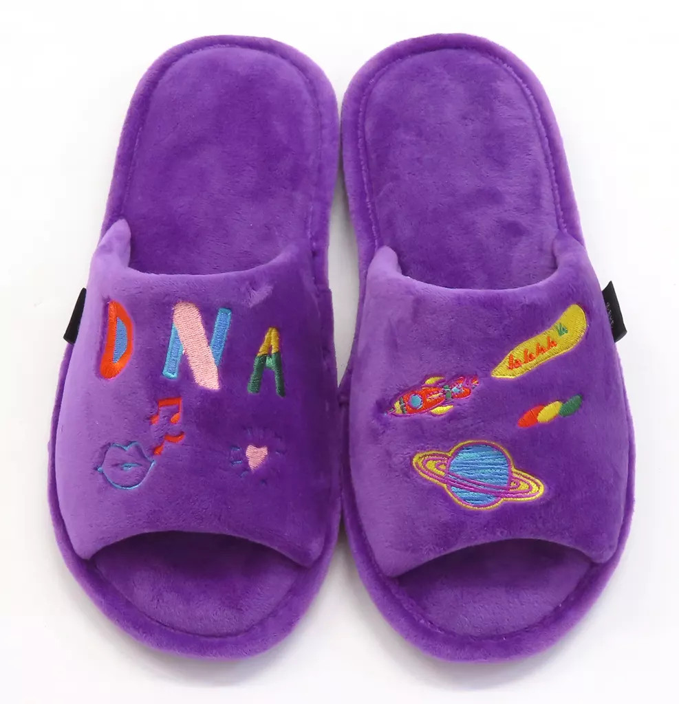Bts Bangtan Boys Dna Brushed Room Shoes Purple S Size
