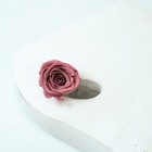 Picture 26 of 89