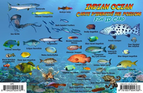 Indian Ocean Islands Dive Map & Coral Reef Creatures Guide Franko Maps Fish Card - Bild 2 von 2