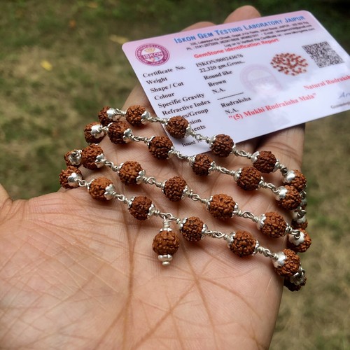 925 Silver + LAB CERTIFIED Natural 5 Mukhi RUDRAKSHA Mala ROSARY 54+1 Beads - Picture 3 of 7