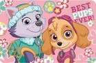 Paw Patrol Tischunterlage Tischset Platzdeckchen Malunterlage 43 x 28 cm