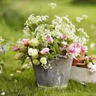 Bild 1.185 von 1.404