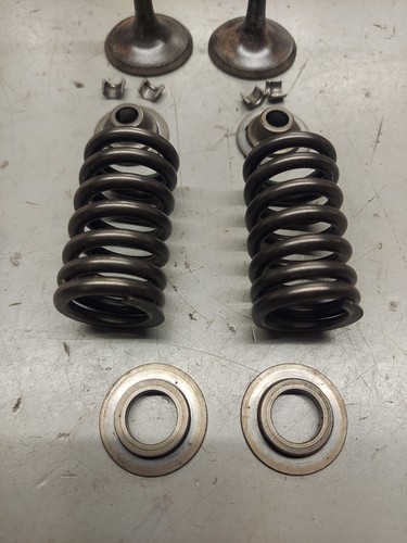 Honda trx450r Exhaust Valves Springs Seats Retainers 04/05 Trx450r - Picture 2 of 5