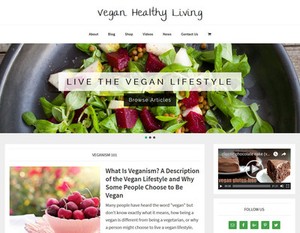 VEGAN-HEALTH-store-blog-affiliate-website-business-for-sale-AUTO-CONTENT